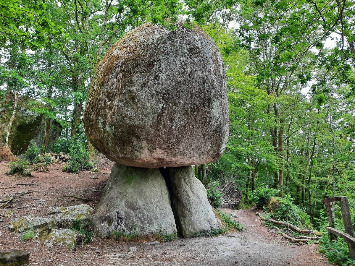 Click for the gallery page to add comments and vote (PID:275455) Le Champignon