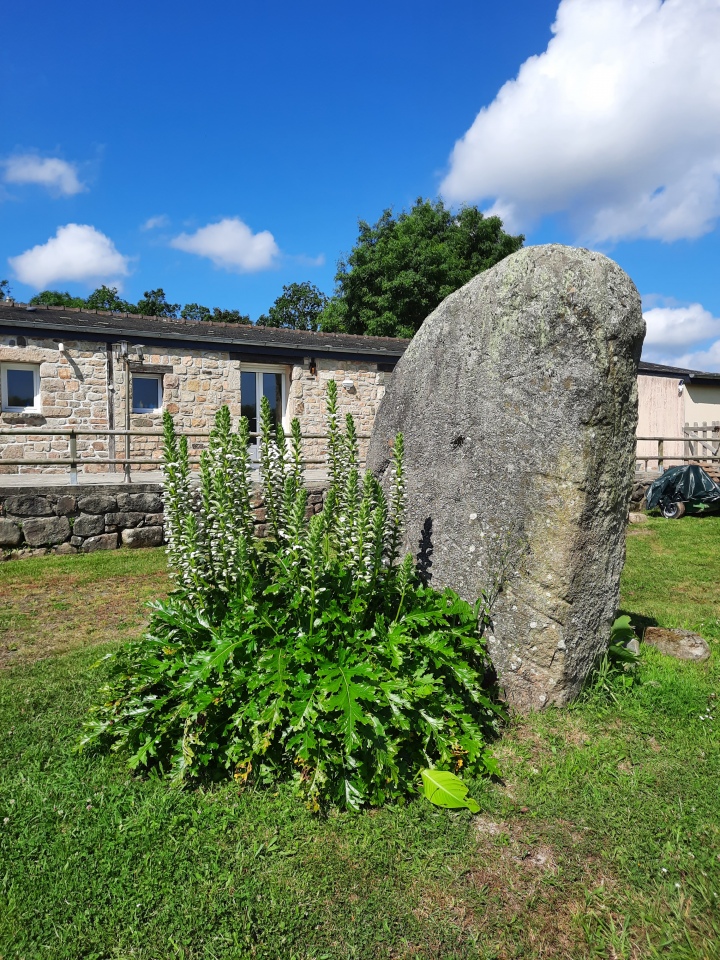 Menhir de Loc Mazé