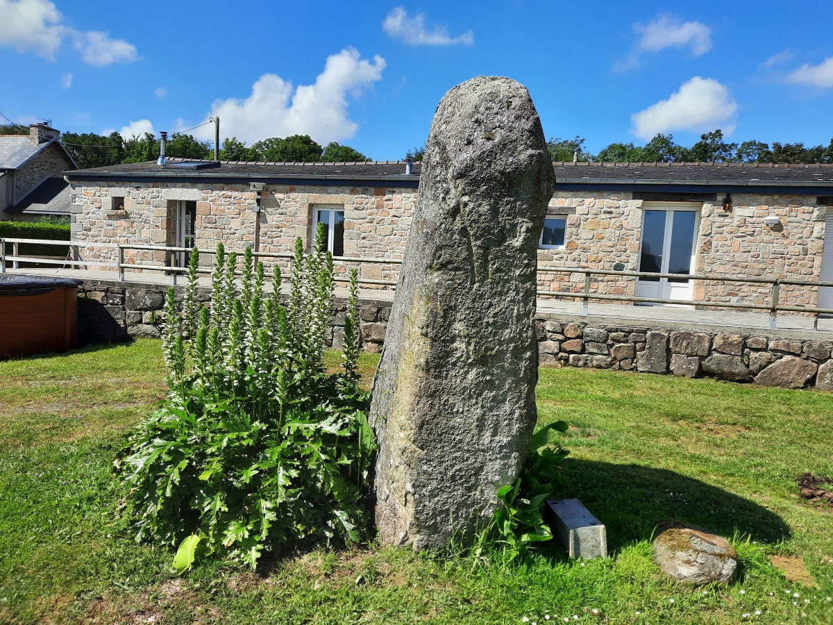 Click for the gallery page to add comments and vote (PID:275774) Menhir de Loc Mazé