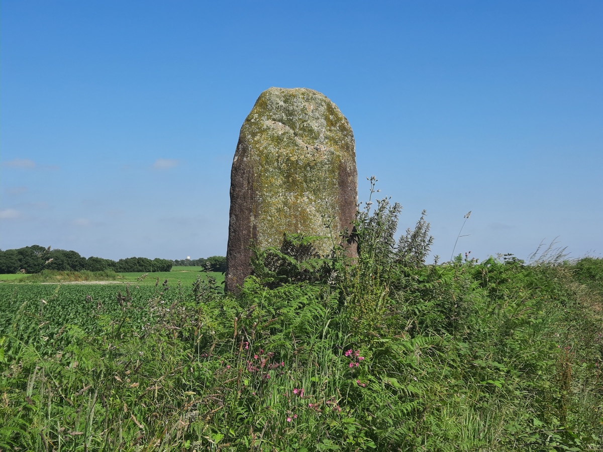Click for the gallery page to add comments and vote (PID:275835) Menhir de Gwéléran