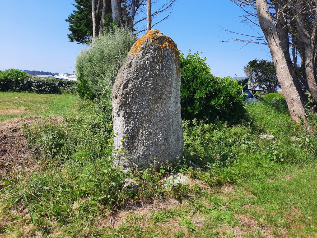 Click for the gallery page to add comments and vote (PID:276046) Menhirs de Corn ar Gazel