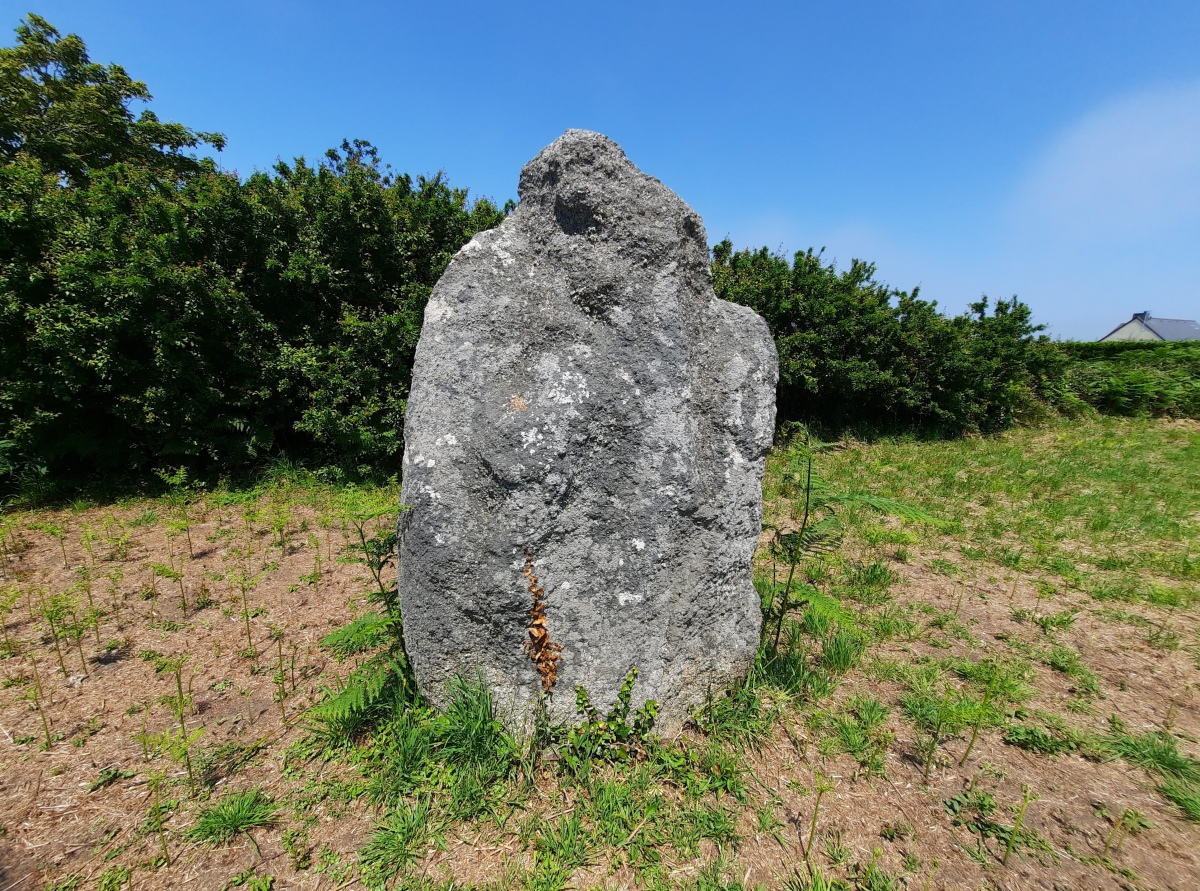 Click for the gallery page to add comments and vote (PID:276083) Menhir du Quistillic