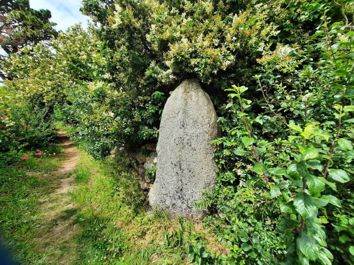 Menhir du Théven