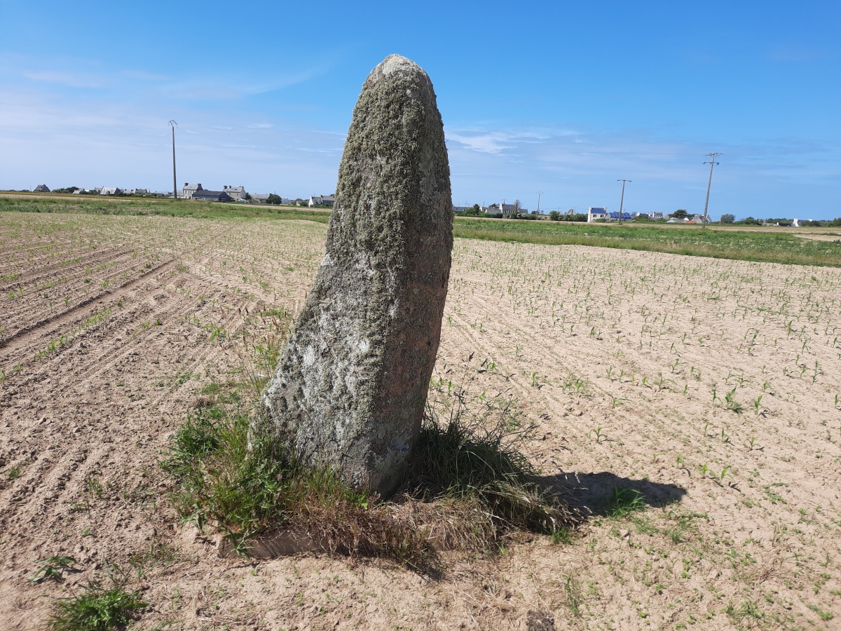 Click for the gallery page to add comments and vote (PID:277223) Menhir de Kervizouarn