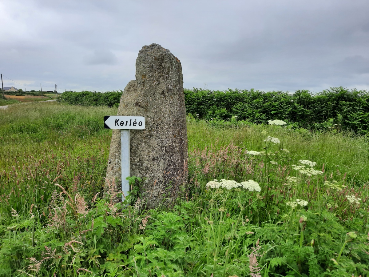 Click for the gallery page to add comments and vote (PID:277244) Menhir De Kerougana