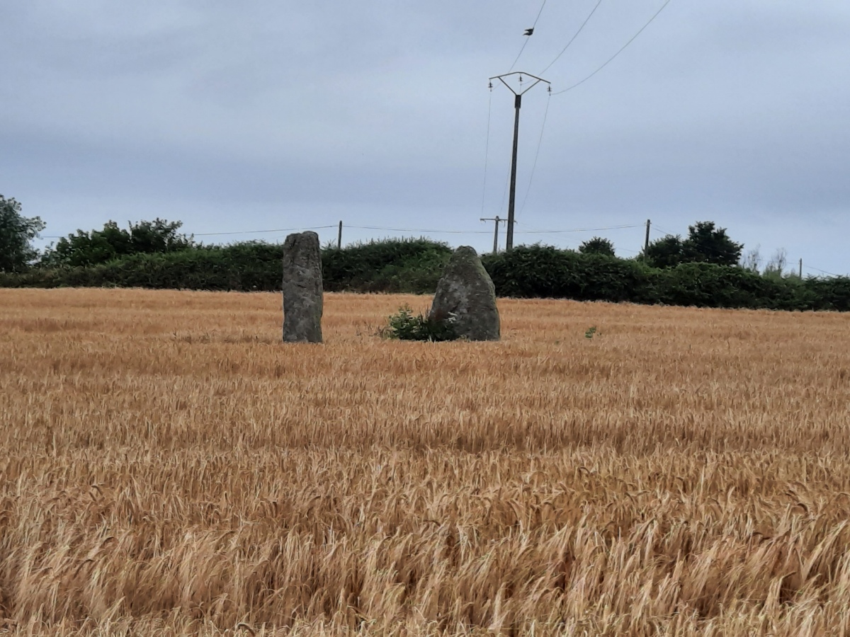 Click for the gallery page to add comments and vote (PID:277610) Menhirs de Kerguiabo