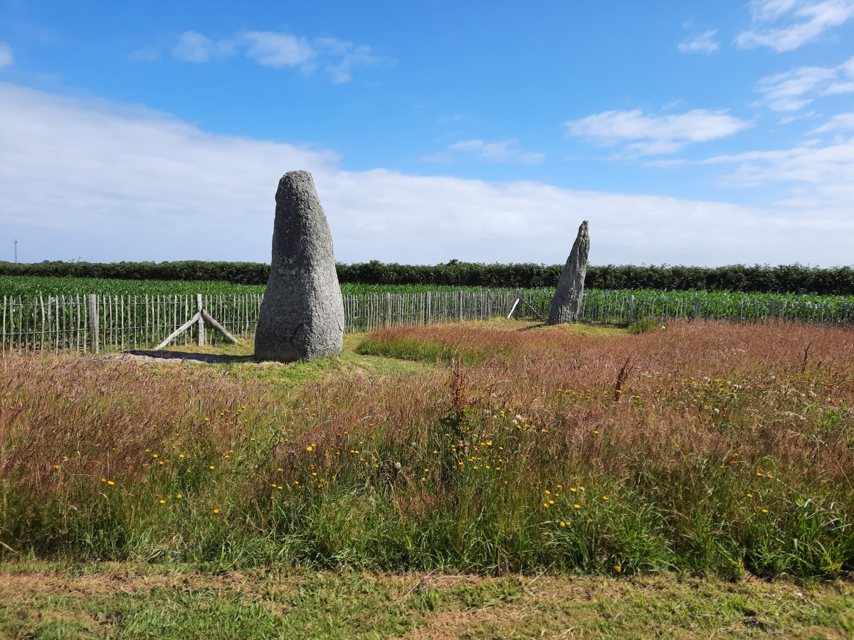 Click for the gallery page to add comments and vote (PID:277611) Saint-Denec Alignement de Menhirs