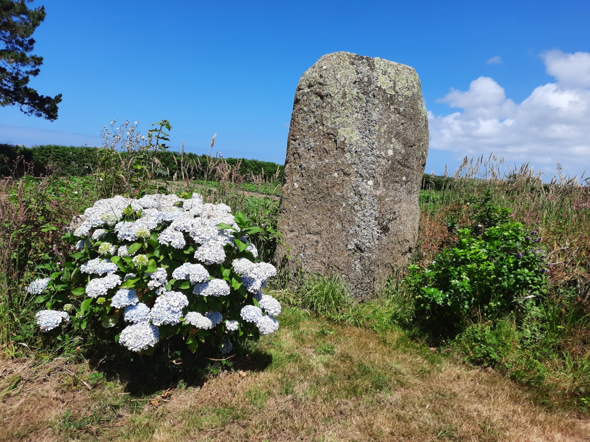 Click for the gallery page to add comments and vote (PID:277636) Menhir de Kerglonou
