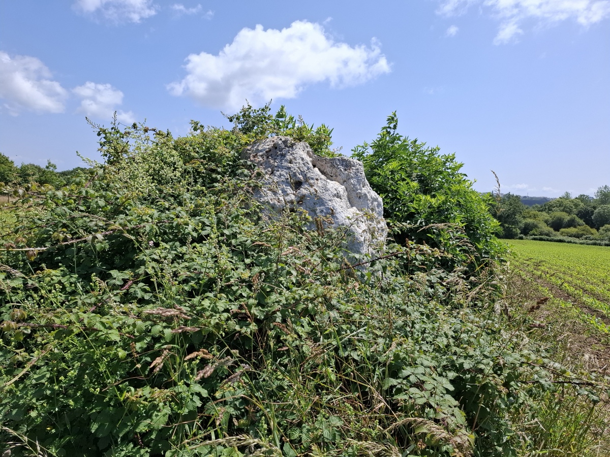 Click for the gallery page to add comments and vote (PID:293417) Alignement de Fort de Landaoudec