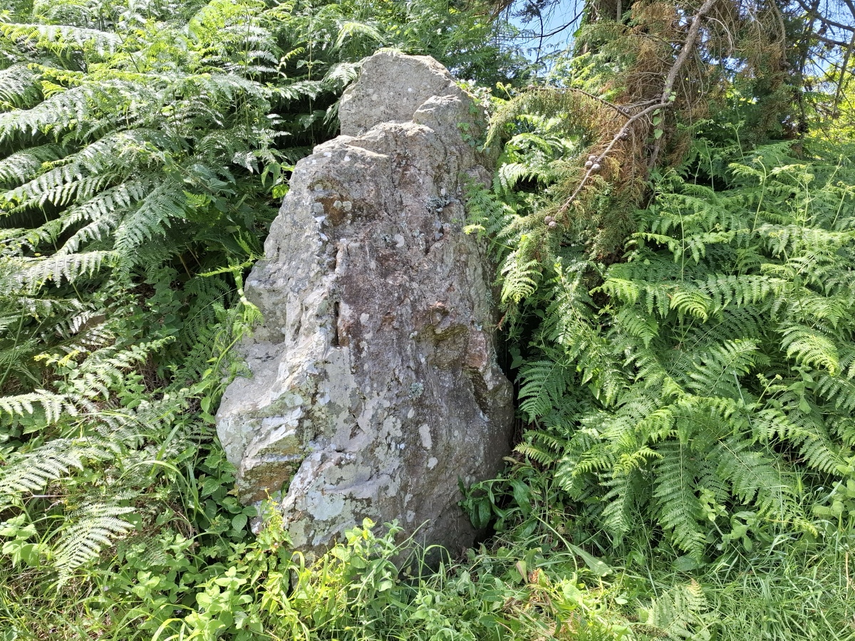 Click for the gallery page to add comments and vote (PID:293453) Menhir de Tromel 1