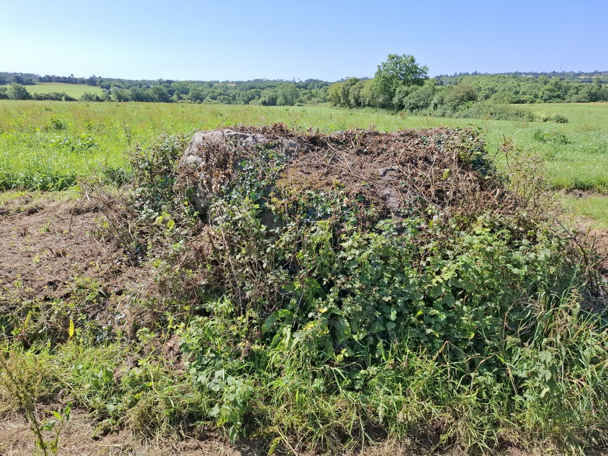 Click for the gallery page to add comments and vote (PID:293492) Menhir de Lardanva