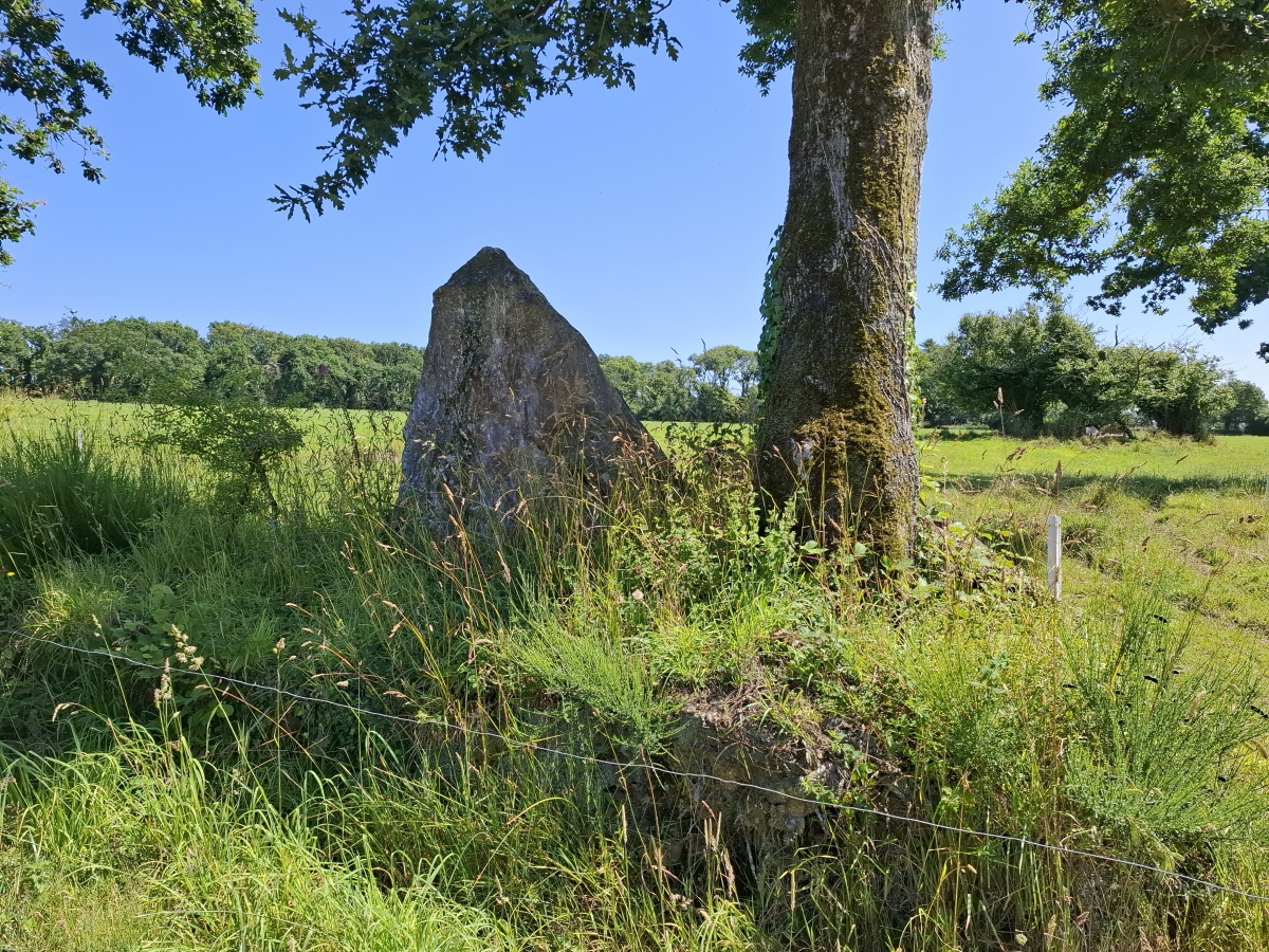 Click for the gallery page to add comments and vote (PID:293496) Menhir de Kernevez 1