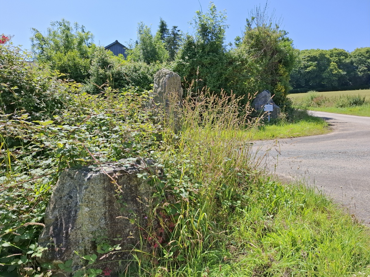 Click for the gallery page to add comments and vote (PID:293587) Menhirs du Liorzou