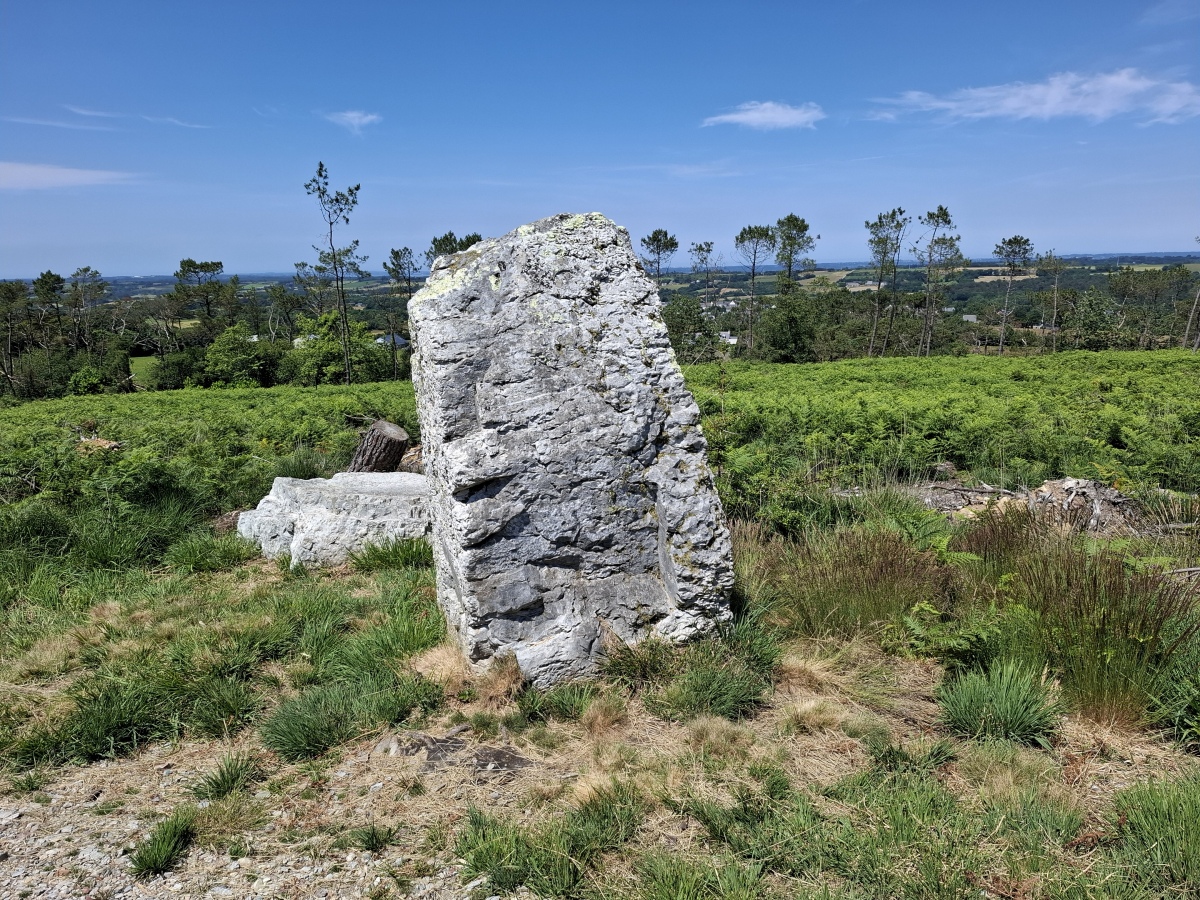 Click for the gallery page to add comments and vote (PID:293609) Goarem an Abat Menhir