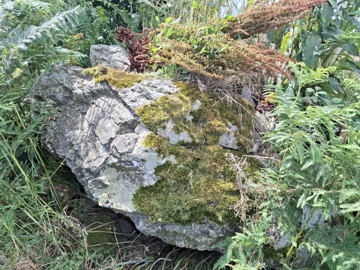 Dolmen de Keradiguen