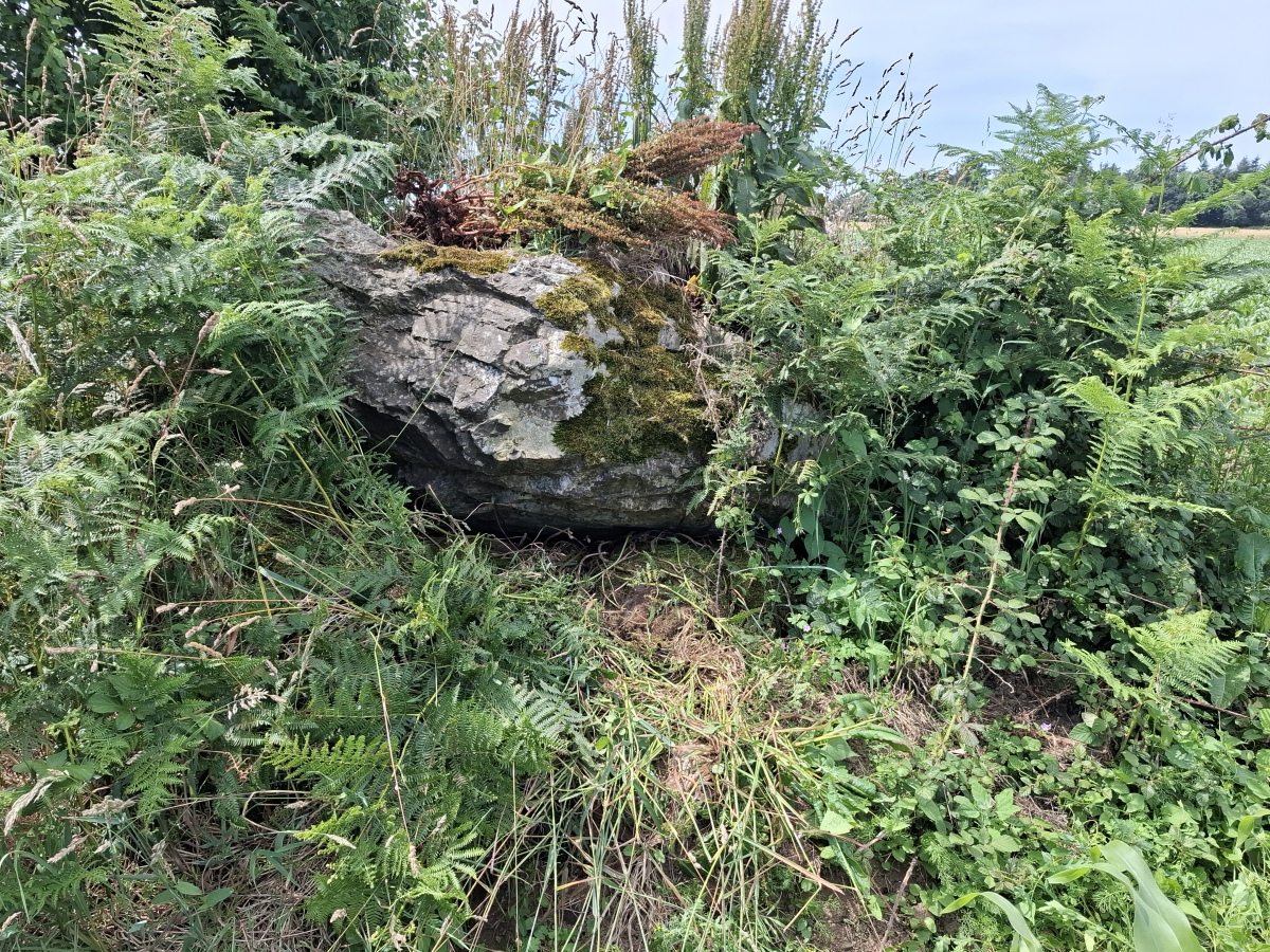 Dolmen de Keradiguen