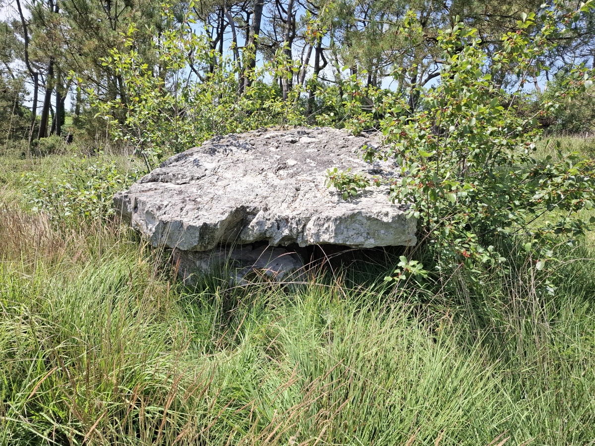 Dolmen de Mine-Mein