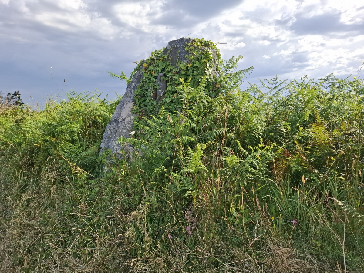 Menhir de Men-Caer