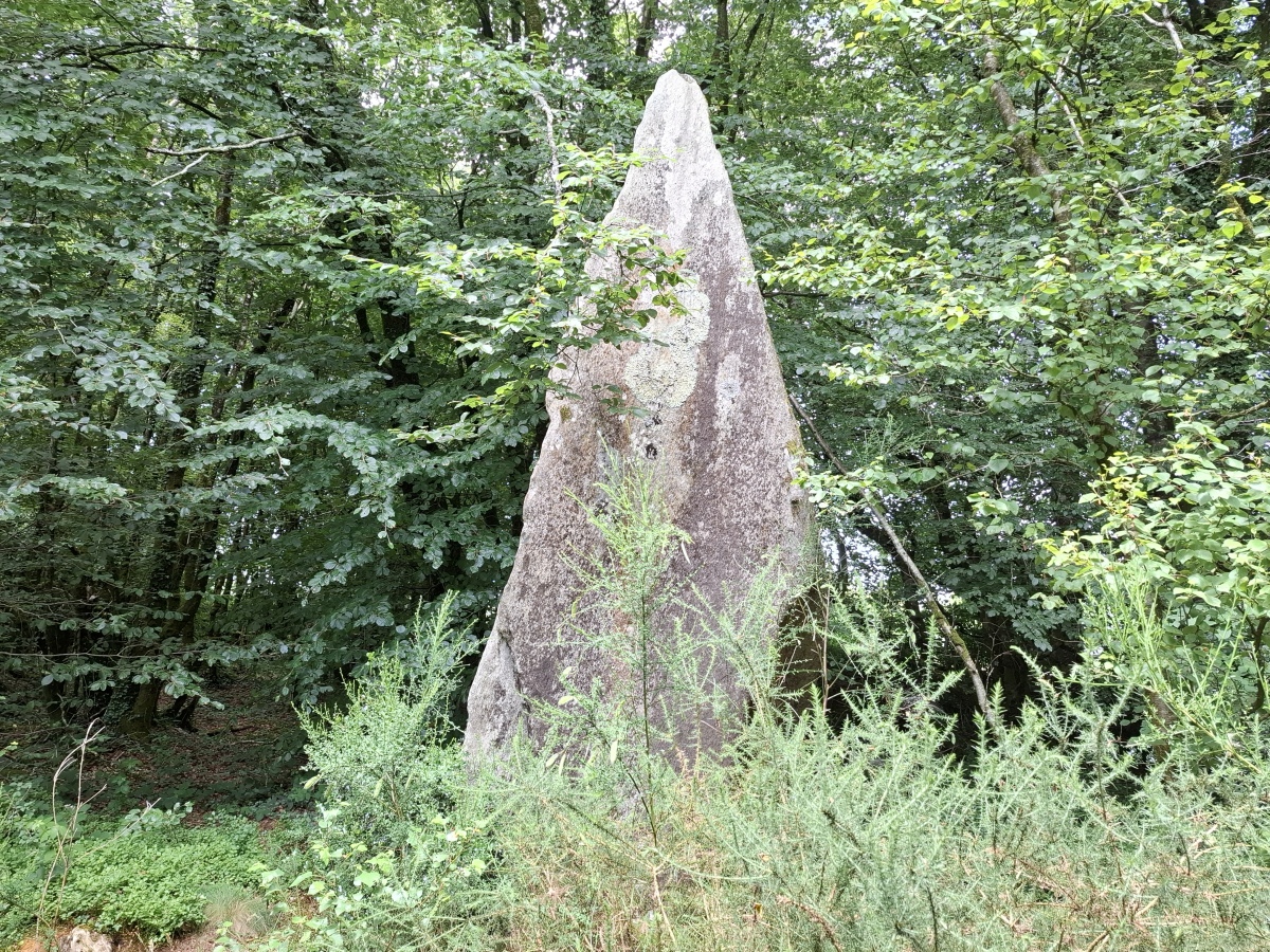 Alignement du Bois du Duc
