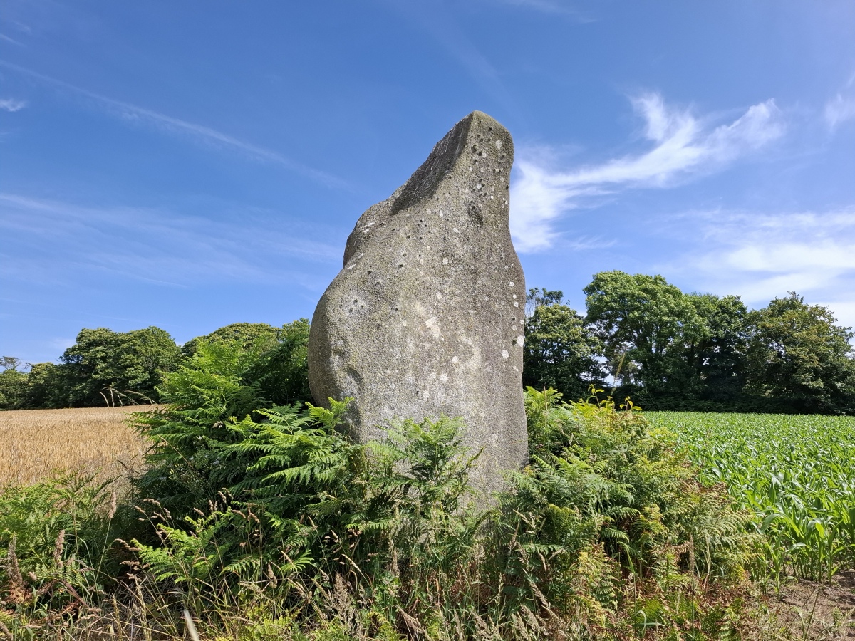 Menhir de Lezaouvregen 2