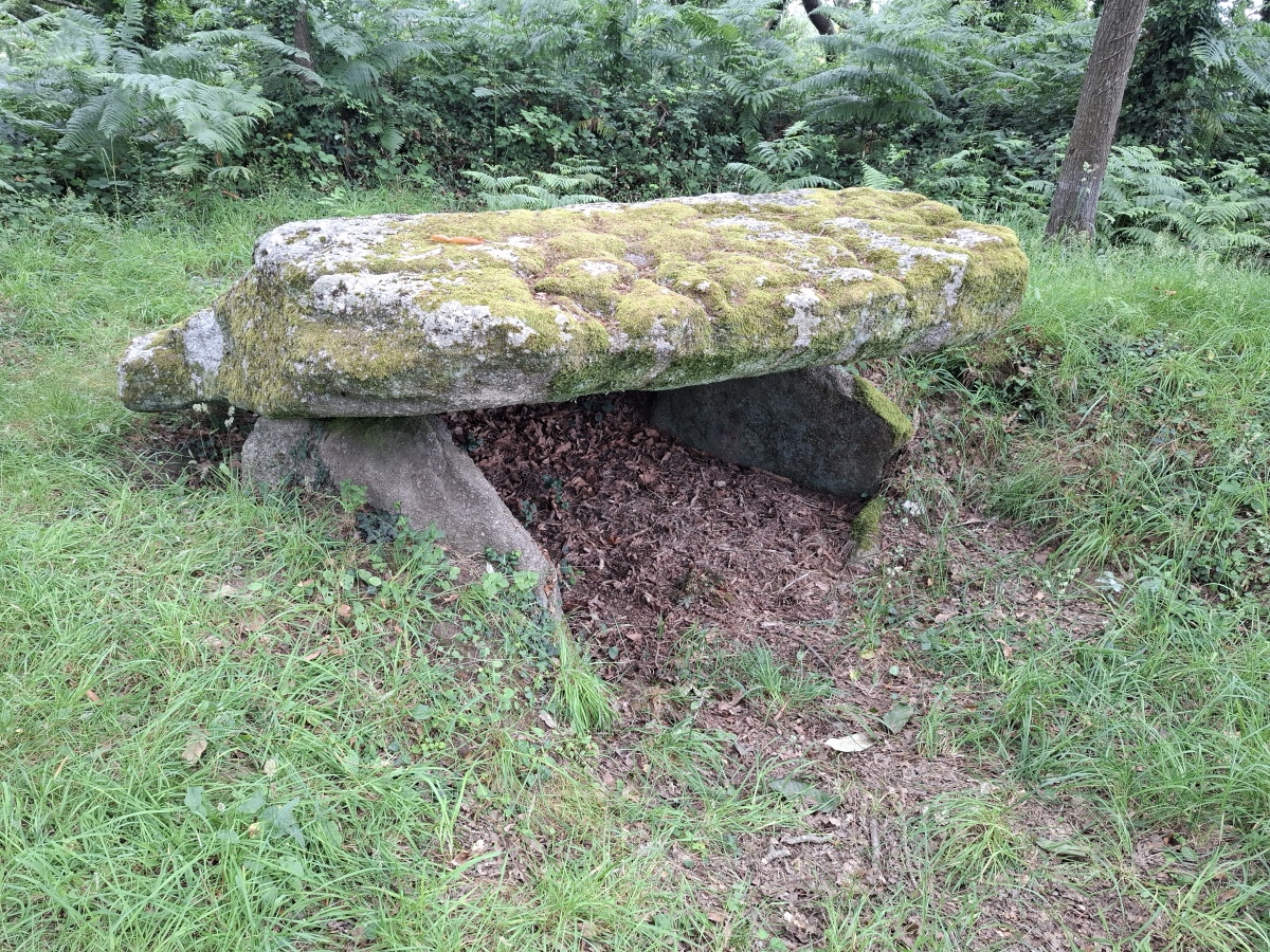Click for the gallery page to add comments and vote (PID:294742) Dolmen de Penquer-Bloas