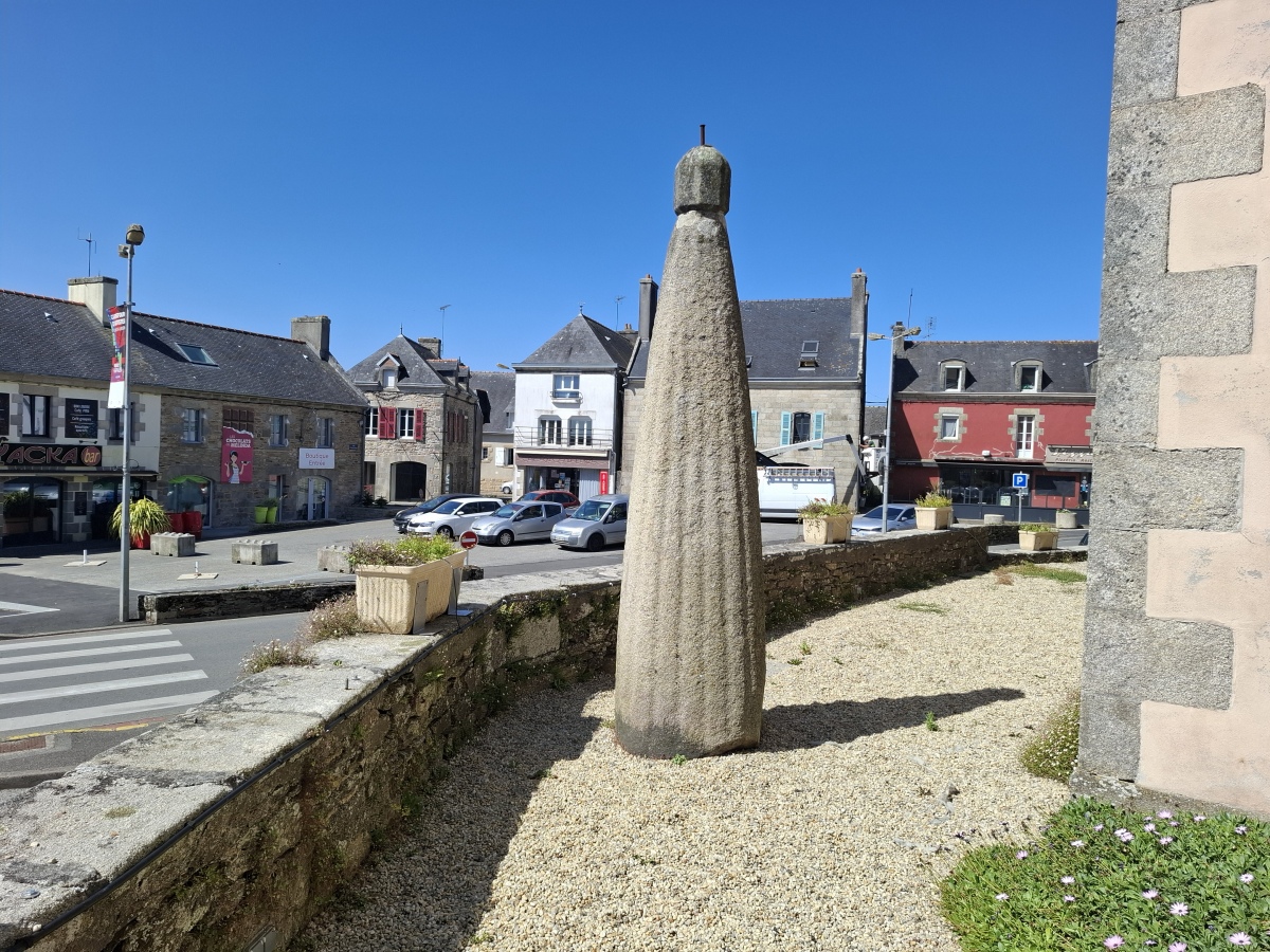 Bonnet d'Evêque Stèle