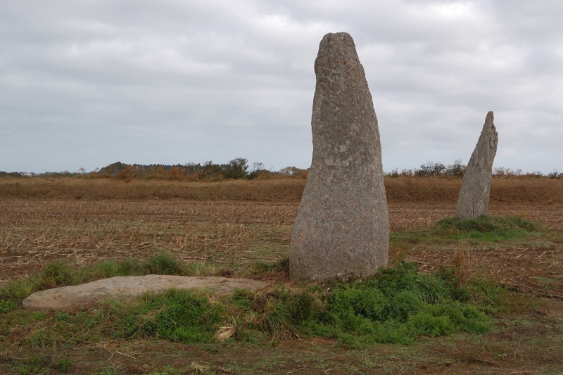 Click for the gallery page to add comments and vote (PID:128695) Saint-Denec alignement de menhirs