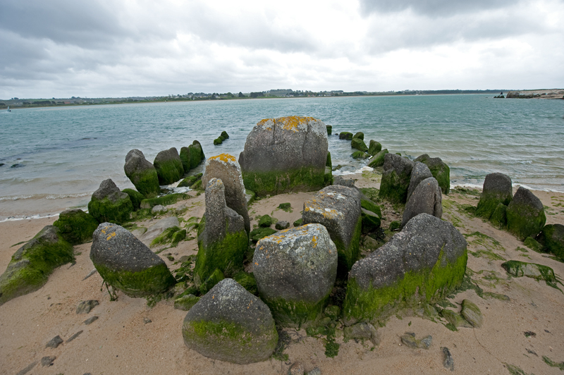 Click for the gallery page to add comments and vote (PID:119836) Guinivrit