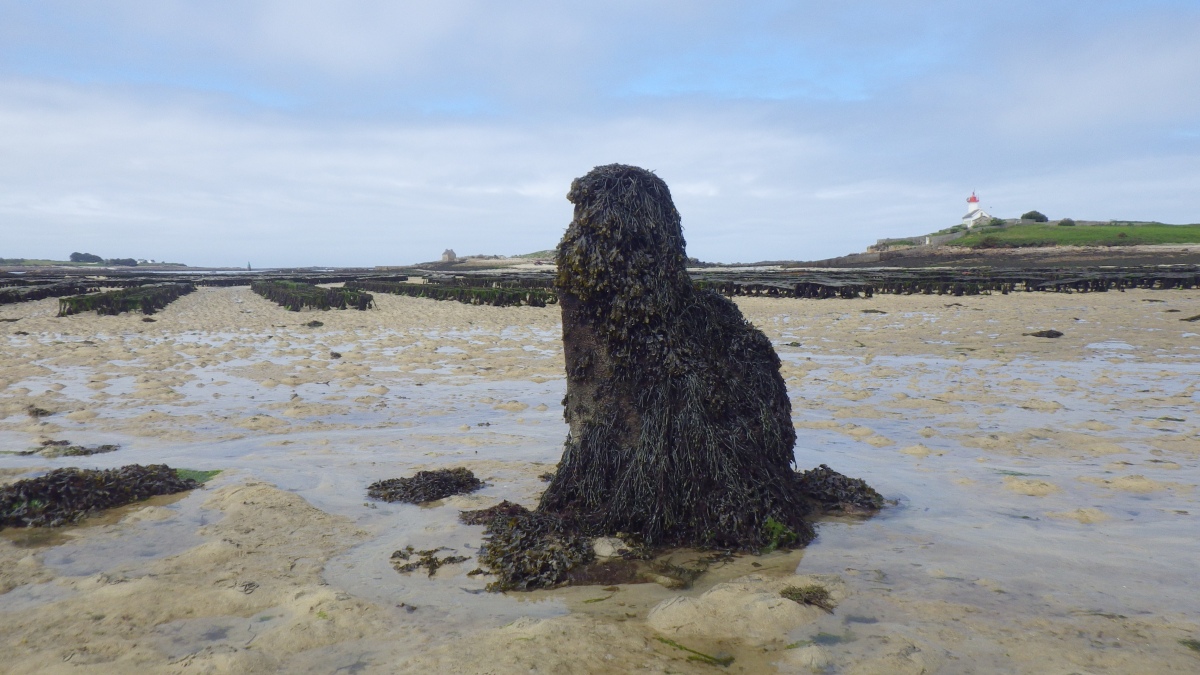 Click for the gallery page to add comments and vote (PID:275337) Men Ozac'h menhir