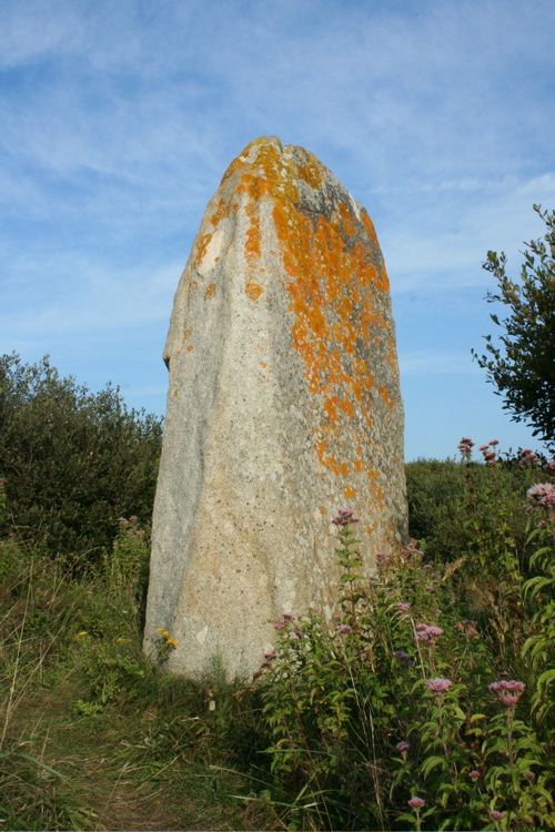 Click for the gallery page to add comments and vote (PID:32989) Carrière de Kerharo alignements