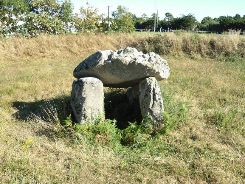 Click for the gallery page to add comments and vote (PID:114279) Kervignon dolmen
