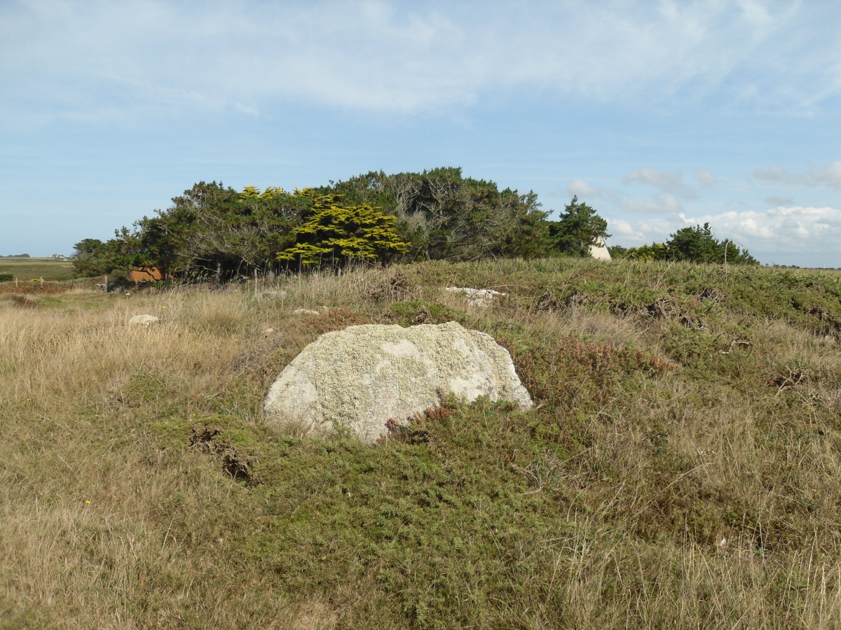 Tumulus de la pointe de Landunvez