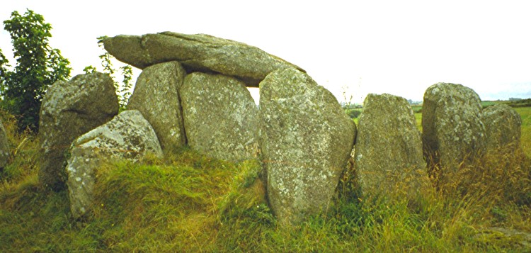 Allée couverte with surviving mound kerbstones.

July 1999
