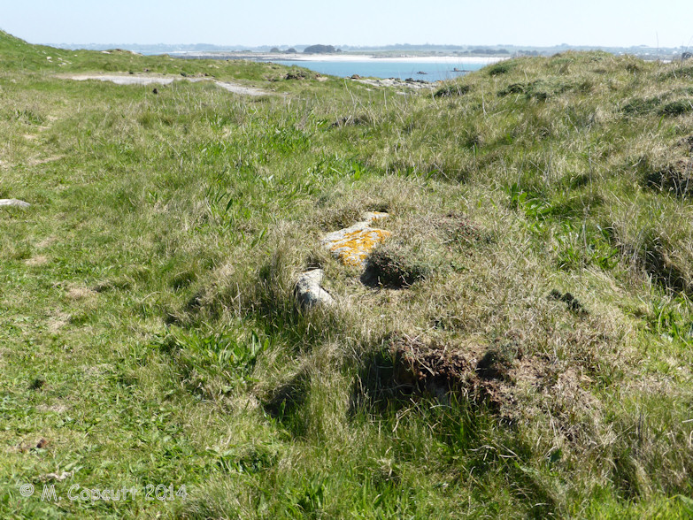 Ile Carn menhir (PID:119845) Ile Carn menhir