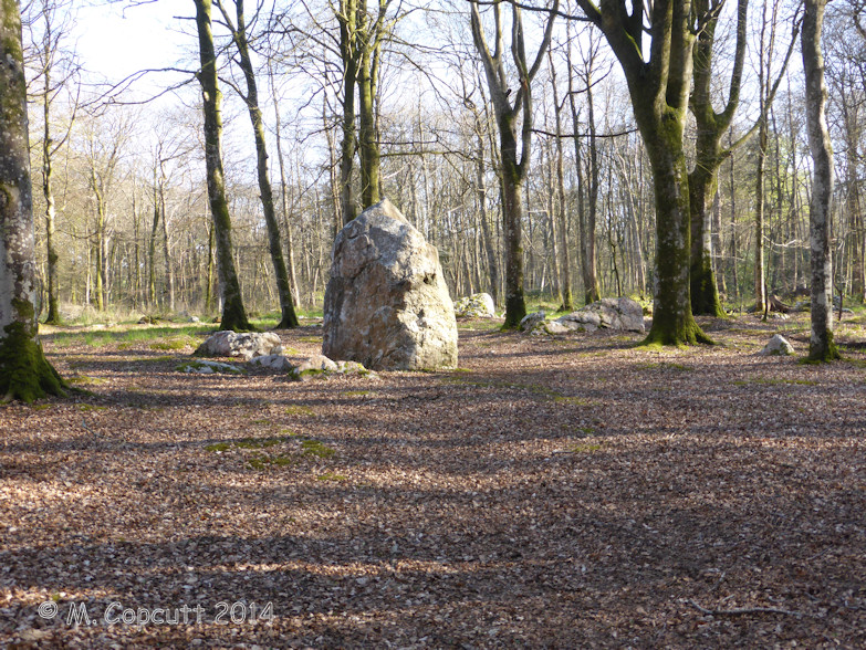 Kerprigent alignement de menhirs