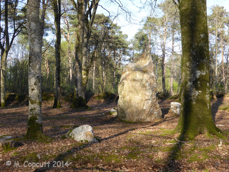 Click for the gallery page to add comments and vote (PID:121253) Kerprigent alignement de menhirs