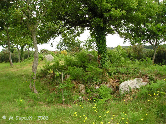 Just a few hundred metres to the west of the Plobannalec sports centre can be found the remains of two more dolmens inside small mounds, which are not marked on any map that I know of.  
 
It was hard to tell whether these would have been in seperate mounds, or one big one. I feel it is probably one mound. 
