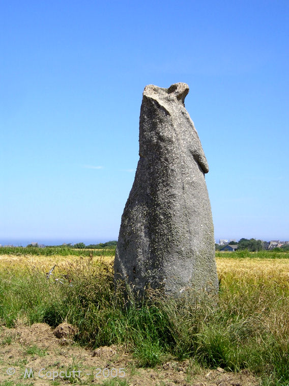 Menhir d'Irvit