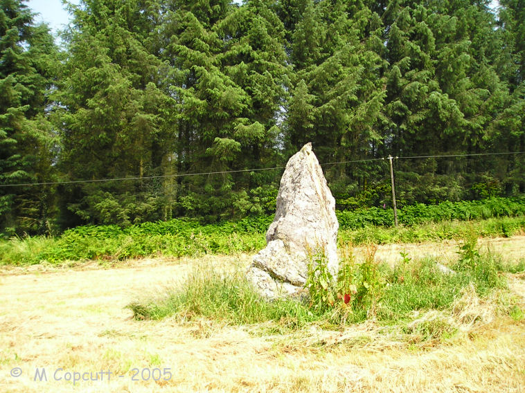 This is a pleasant enough menhir in a field beside the road on the western slopes of the hill upon which the Chapelle St Michel is built. It's approaching three metres in height, nearly as wide at the base, and made of the local quarzite stone, which is pointed at the top. 