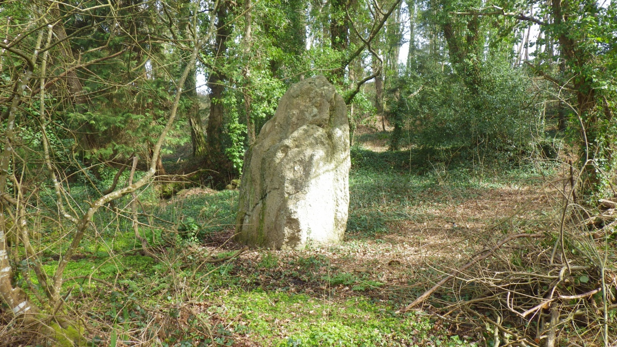 Click for the gallery page to add comments and vote (PID:278713) Menhir de Kerenguy