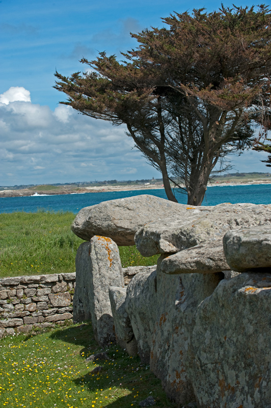Click for the gallery page to add comments and vote (PID:119700) Run-Amor allée couverte