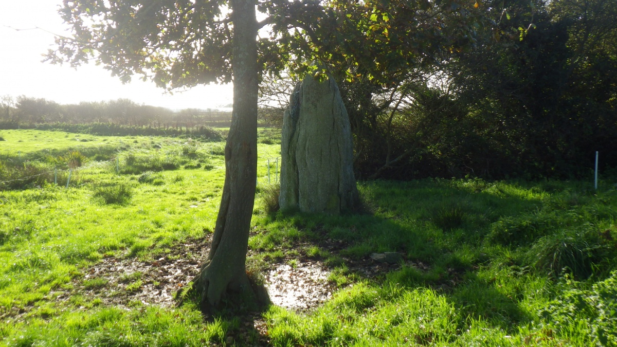 Click for the gallery page to add comments and vote (PID:278879) Menhir de Landourzan