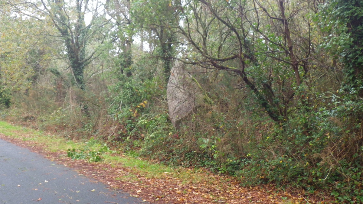 Click for the gallery page to add comments and vote (PID:288390) Menhir de Queffen
