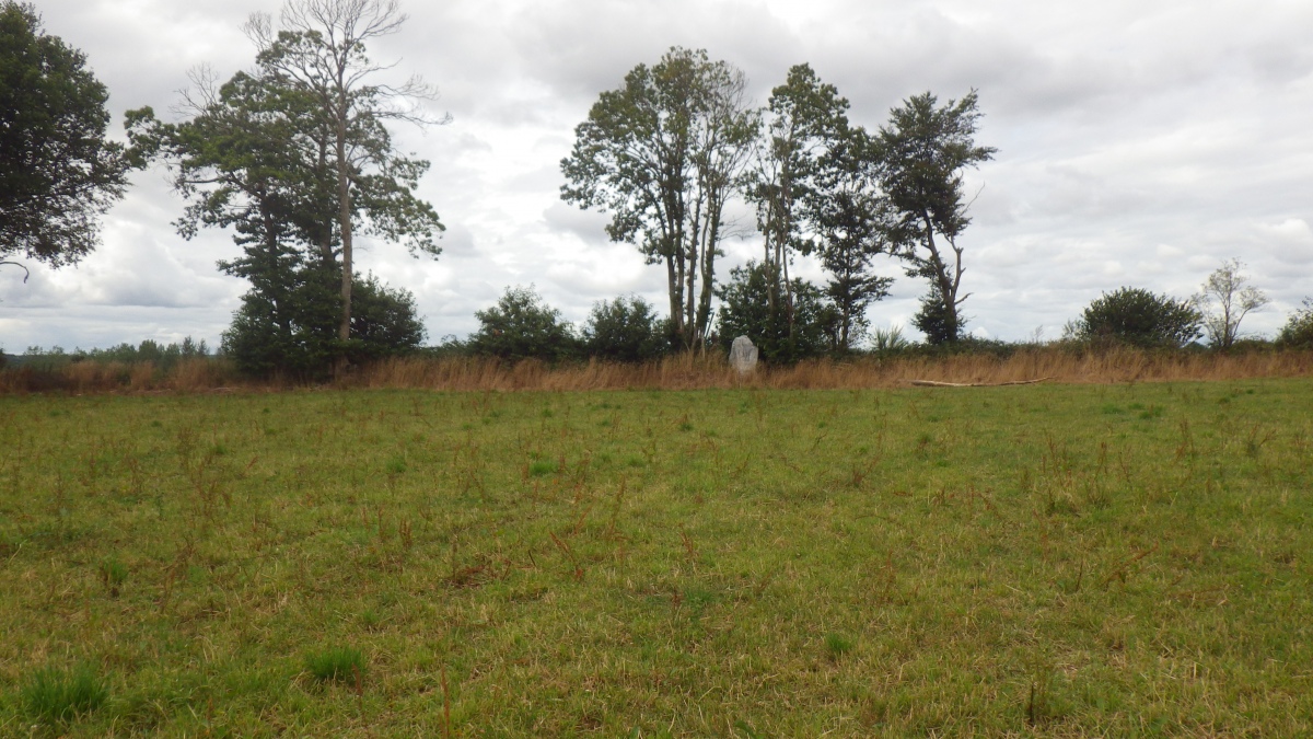 Click for the gallery page to add comments and vote (PID:286629) Menhir de Kerescan