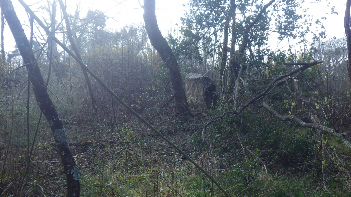 Click for the gallery page to add comments and vote (PID:286367) Menhir du bois de Kersalut