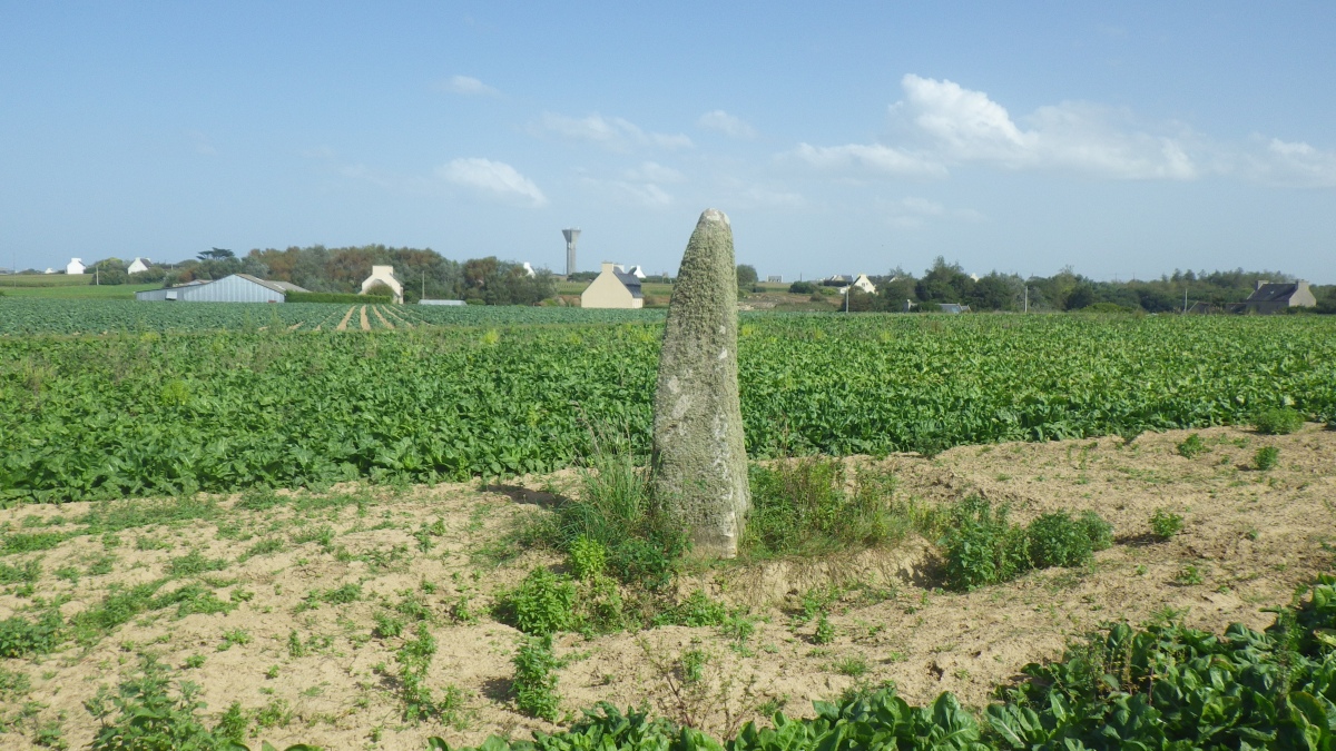 Menhir de Kervizouarn 
