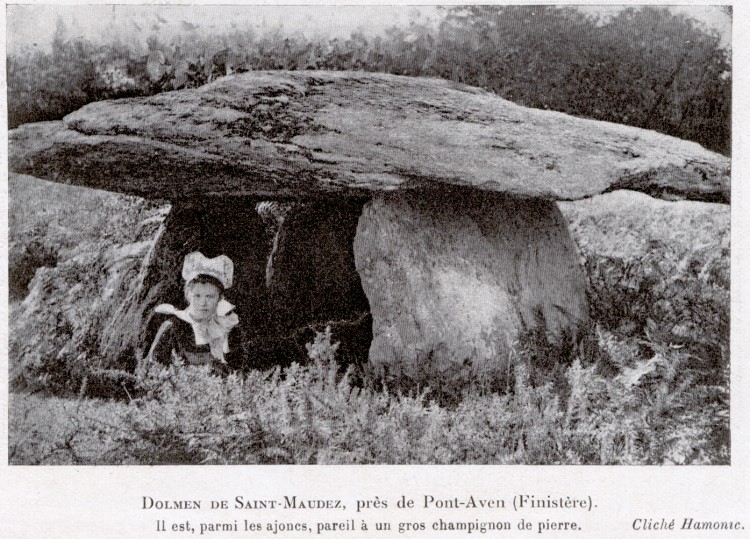 Click for the gallery page to add comments and vote (PID:48829) Dolmen de la Chapelle Saint-Maudé