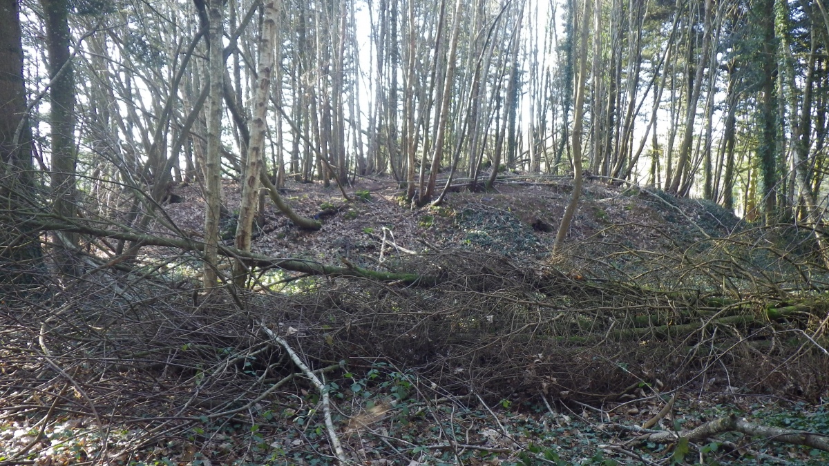 Motte du Quillio
