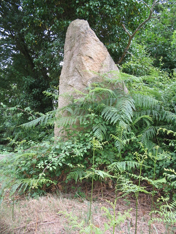 Click for the gallery page to add comments and vote (PID:194769) Kertallic 1 menhir