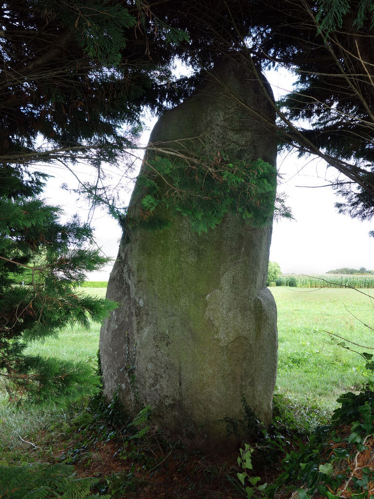 Click for the gallery page to add comments and vote (PID:154504) Menhir de Kermenhir (Poullan)